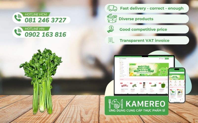 Kamereo - Wholesale celery supplier at good prices for businesses