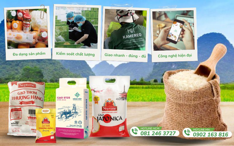 Kamereo cung cấp gạo giá sỉ từ nhiều nhãn hiệu uy tín