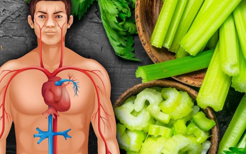Celery juice helps protect cardiovascular health