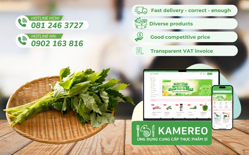 Kamereo is an application that provides wholesale food with fresh, delicious celery at good prices for F&B businesses.