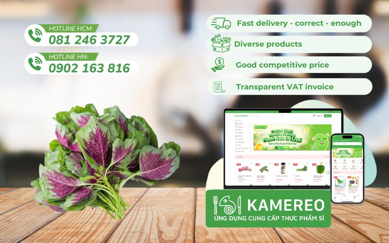 Kamereo - Supplier of amaranth at good price, full VAT for F&B businesses