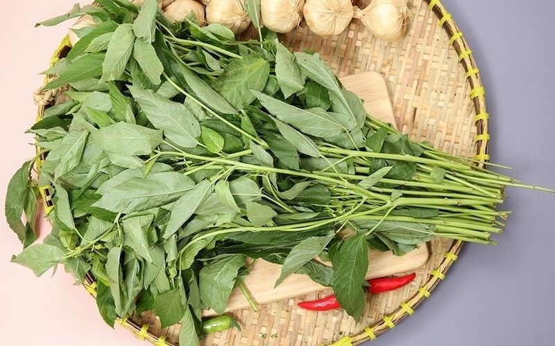 Lưu ý khi ăn rau đay