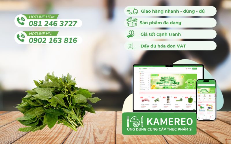 Kamereo - Ứng dụng cung cấp rau đay tươi ngon, giá sỉ cho doanh nghiệp F&B