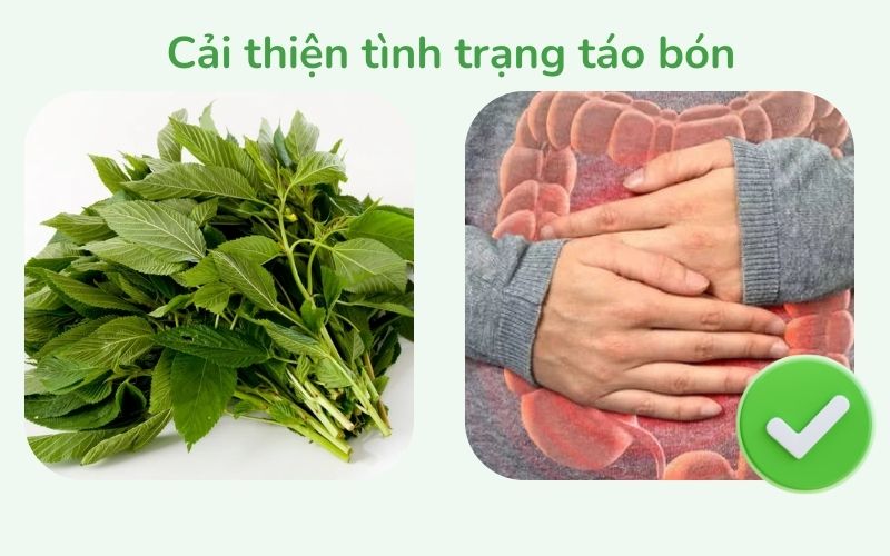 Rau đay giúp hỗ trợ nhuận tràng và cải thiện tình trạng táo bón