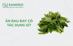 Ăn rau đay có tác dụng gì