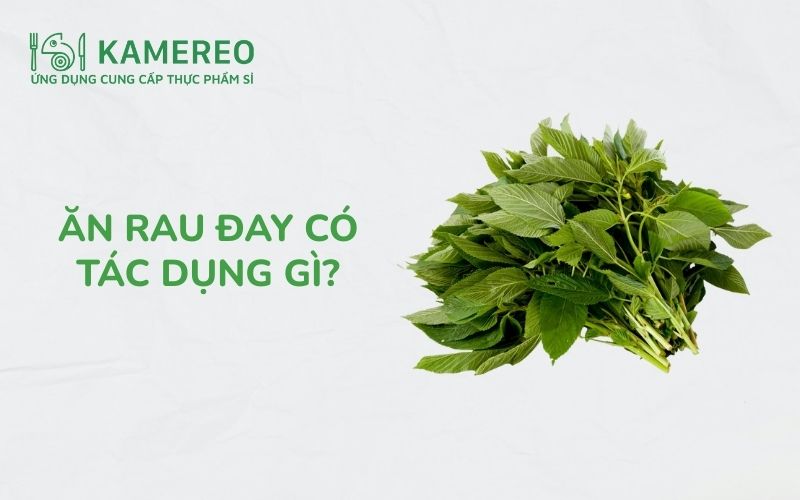 Ăn rau đay có tác dụng gì