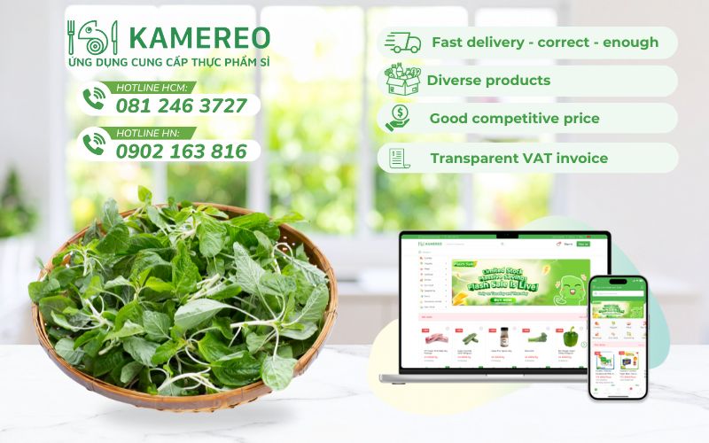 Kamereo – Supplier of fresh, delicious amaranth at good prices for F&B businesses
