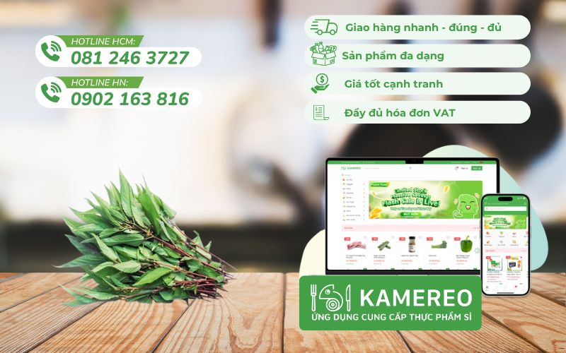 Kamereo - Nhà cung cấp rau đay sỉ giá tốt, chuẩn tươi ngon cho doanh nghiệp F&B