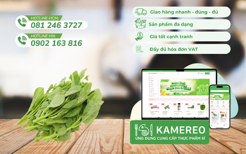 Kamereo - Nhà cung cấp sỉ rau mùng tươi ngon, giá tốt, tối ưu cho doanh nghiệp F&B