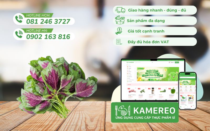 Kamereo - Nhà cung cấp rau dền giá tốt, đầy đủ VAT cho doanh nghiệp F&B
