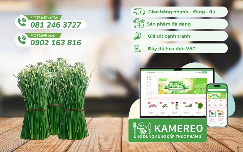 Kamereo - Nhà cung cấp hẹ tươi ngon, giá tốt cho doanh nghiệp F&B