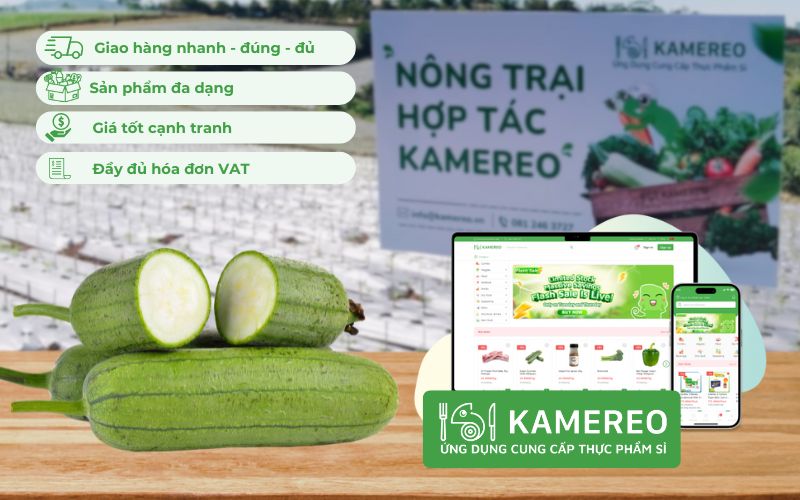 Kamereo - Nhà cung cấp mướp tươi ngon, giá sỉ cho doanh nghiệp F&B