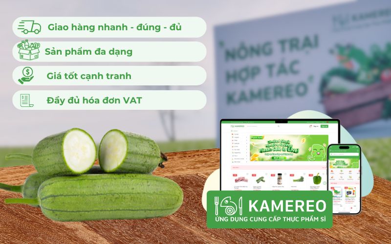 Kamereo - Nhà cung cấp sỉ mướp ngọt ngon, giá tốt cho doanh nghiệp F&B