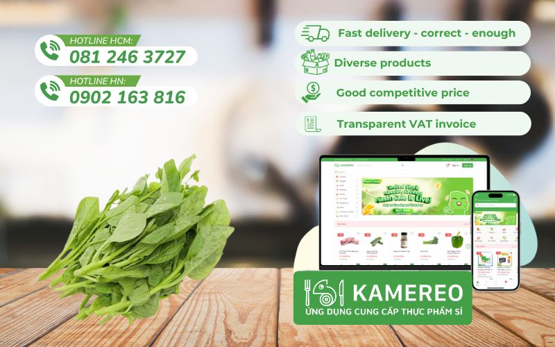 Kamereo - Wholesale supplier of fresh, delicious spinach at good prices, optimal for F&B businesses