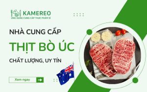 Nhà cung cấp thịt bò Úc chất lượng, uy tín