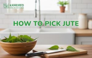 how to pick jute