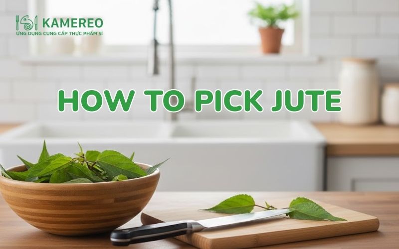 how to pick jute
