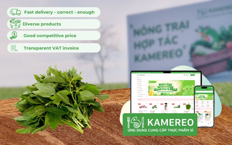 Kamereo - Application providing fresh, good-priced wholesale jute for F&B businesses