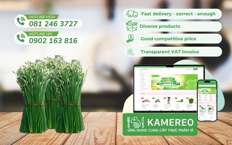 Kamereo - Supplier of fresh chives at good prices for F&B businesses