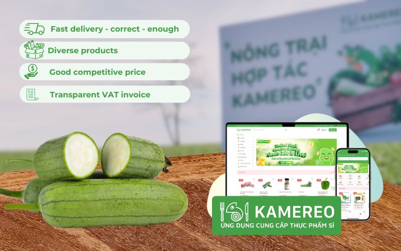 Kamereo - Wholesale supplier of delicious sweet melon at good prices for F&B businesses
