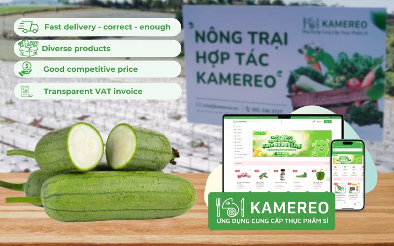 Kamereo - Supplier of fresh, delicious squash at wholesale prices for F&B businesses