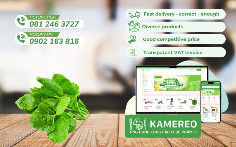 Kamereo - Supplier of fresh, delicious Malabar spinach at good prices for F&B businesses