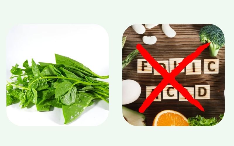 Malabar spinach is incompatible with acidic foods such as lemon, vinegar, oranges and tangerines.