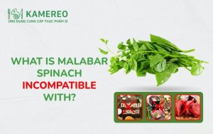 Malabar spinach is incompatible with what