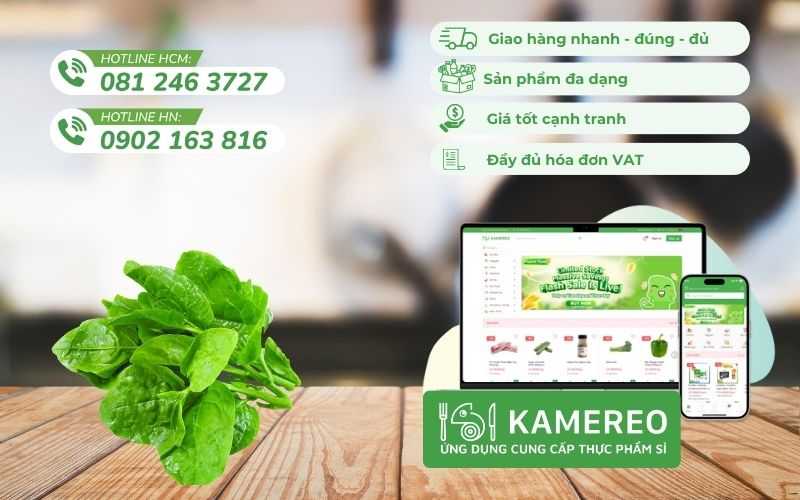 Kamereo - Nhà cung cấp rau mồng tơi tươi ngon, giá tốt cho doanh nghiệp F&B
