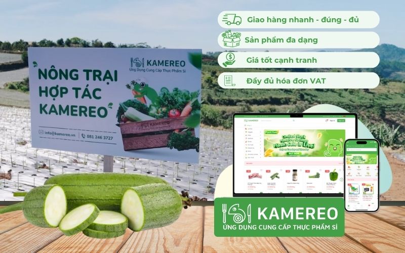 Kamereo - Giải pháp cung ứng mướp sỉ giá tốt, tươi ngon cho doanh nghiệp F&B