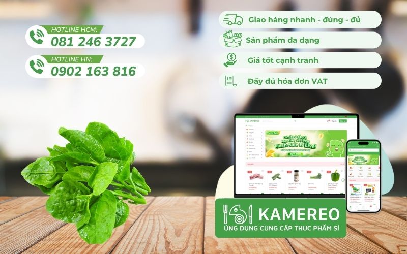 Kamereo - Nhà cung cấp rau mồng tơi tươi ngon, giá sỉ cho doanh nghiệp F&B