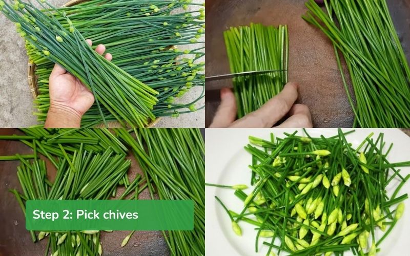 Pick chives