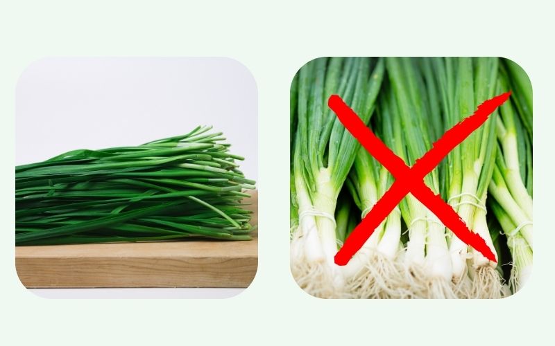 Chives are incompatible with green onions.