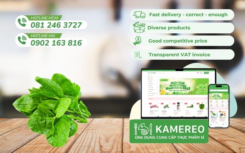 Kamereo - Supplier of fresh, delicious Malabar spinach at wholesale prices for F&B businesses