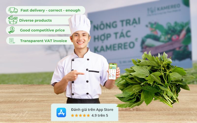 Kamereo - Wholesale supplier of fresh, good-priced jute for F&B businesses