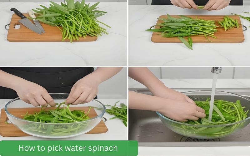 Simple water spinach preparation for a delicious dish.