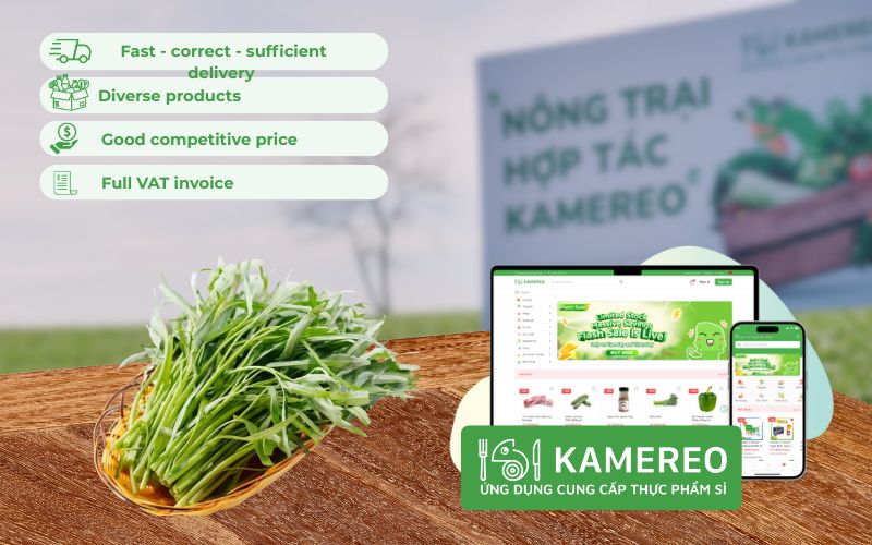 Kamereo - An application providing wholesale water spinach at good prices for F&B businesses.