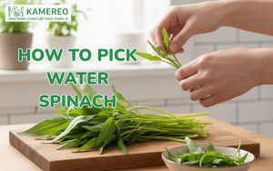 How to easily prepare water spinach for boiling, stir-frying, or shredding at home