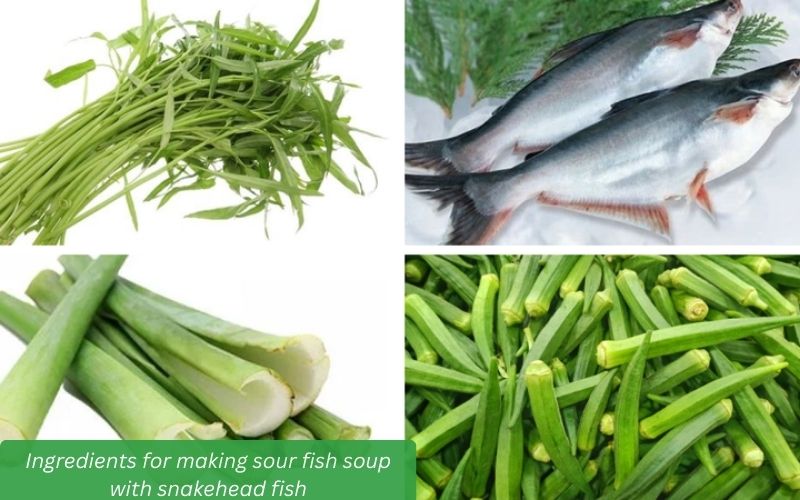 Ingredients for sour soup with water spinach and catfish.