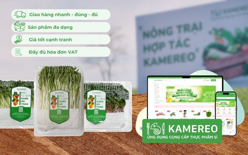Kamereo - Ứng dụng cung cấp rau mầm sỉ giá tốt cho doanh nghiệp F&B