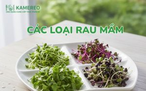 các loại rau mầm​