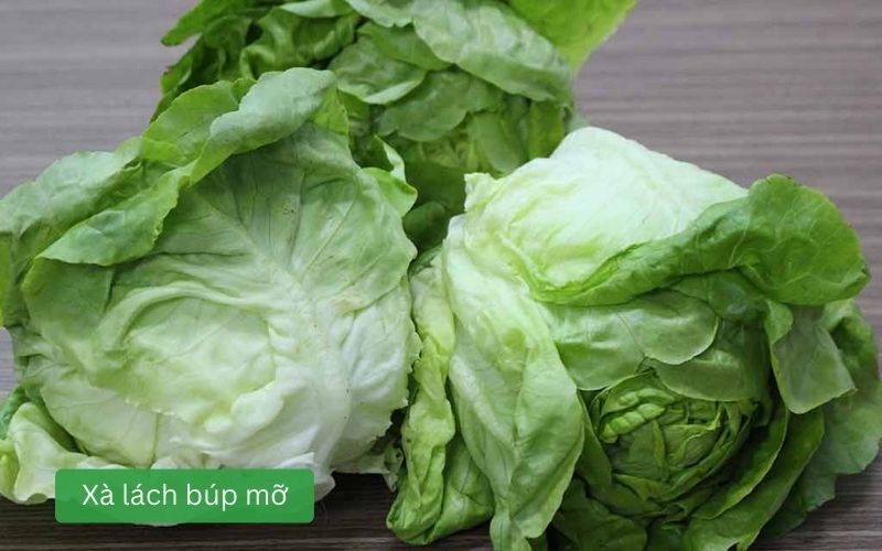 Xà lách búp mỡ tươi ngon, lá tròn mềm