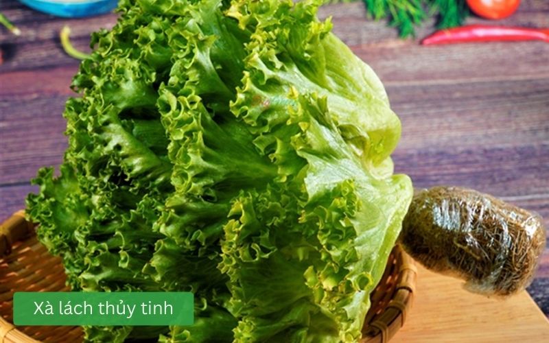 Xà lách thủy tinh thủy canh lá dày giòn xanh đậm