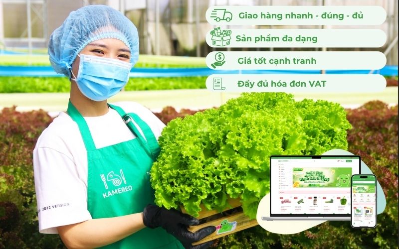 Kamereo - Ứng dụng cung cấp sỉ rau xà lách giá tốt, đầy đủ VAT cho doanh nghiệp F&B