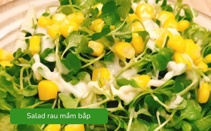 Salad rau mầm bắp tươi giòn, bắp ngọt tự nhiên