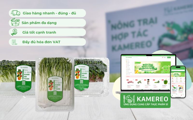 Kamereo - Ứng dụng cung cấp rau mầm sỉ cho doanh nghiệp F&B