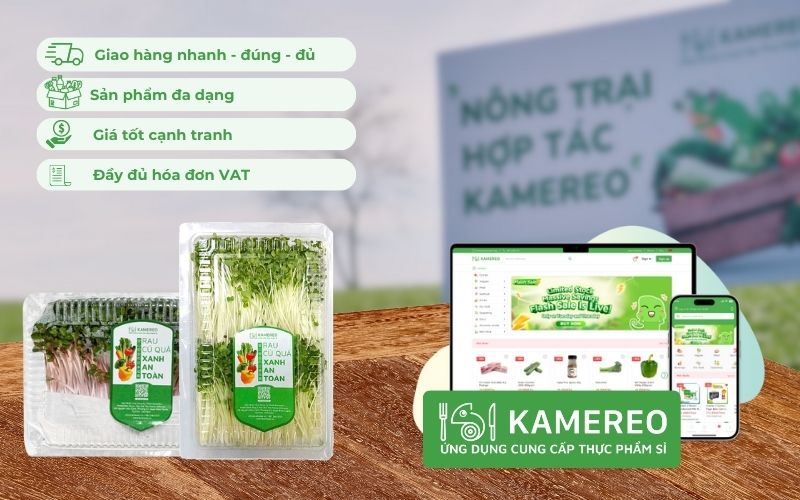 Kamereo - Ứng dụng cung cấp rau mầm sỉ giá tốt, đầy đủ hóa đơn VAT cho doanh nghiệp