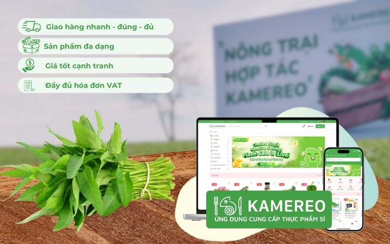 Kamereo - Ứng dụng cung cấp sỉ rau muống tươi ngon, giá tốt, đầy đủ VAT