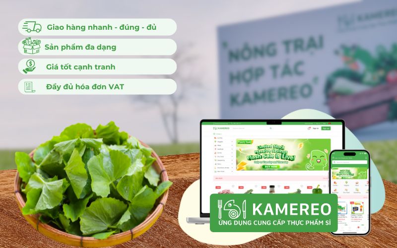 Kamereo - Ứng dụng cung cấp sỉ rau má tươi ngon, giá tốt cho doanh nghiệp F&B