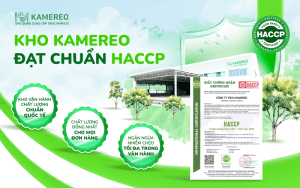 Kho Kamereo đạt chứng nhận HACCP - Nâng tầm tiêu chuẩn chất lượng cho mọi đơn hàng